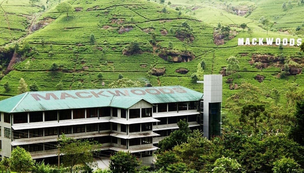 Tea Factory, Nuwara Eliya